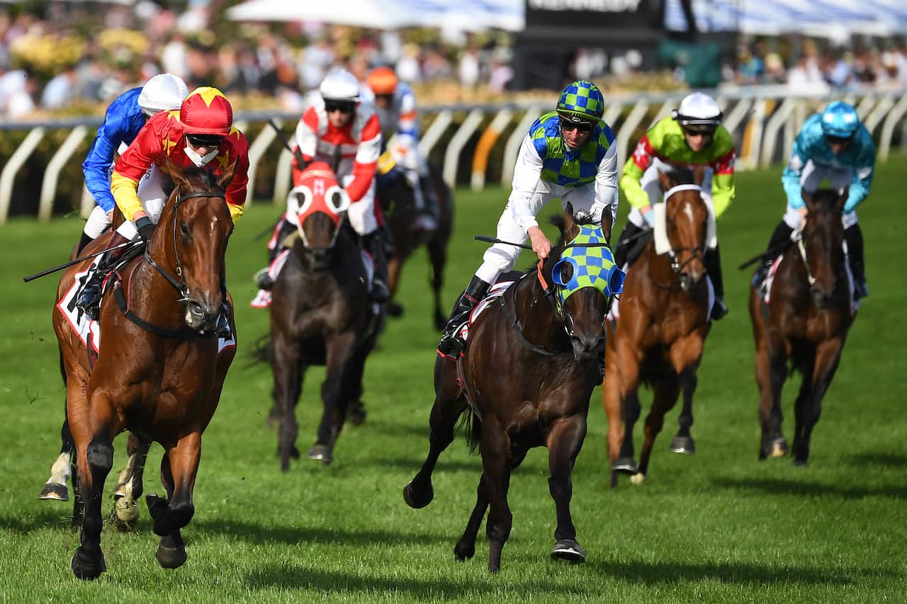 SG MELBOURNE CUP Quantico