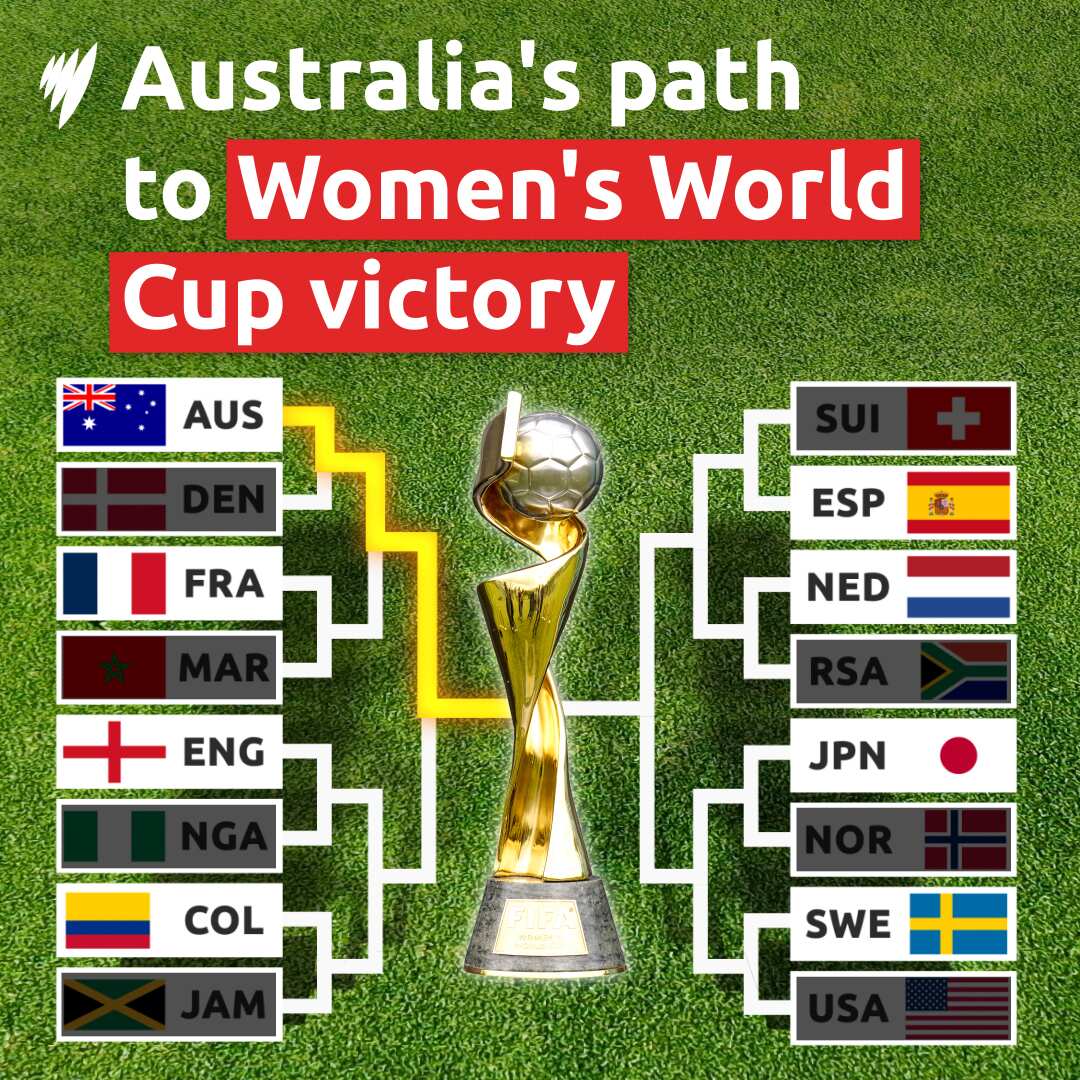 A gold football trophy in the centre of a table showing different countries' flags, in front of a green grass background.