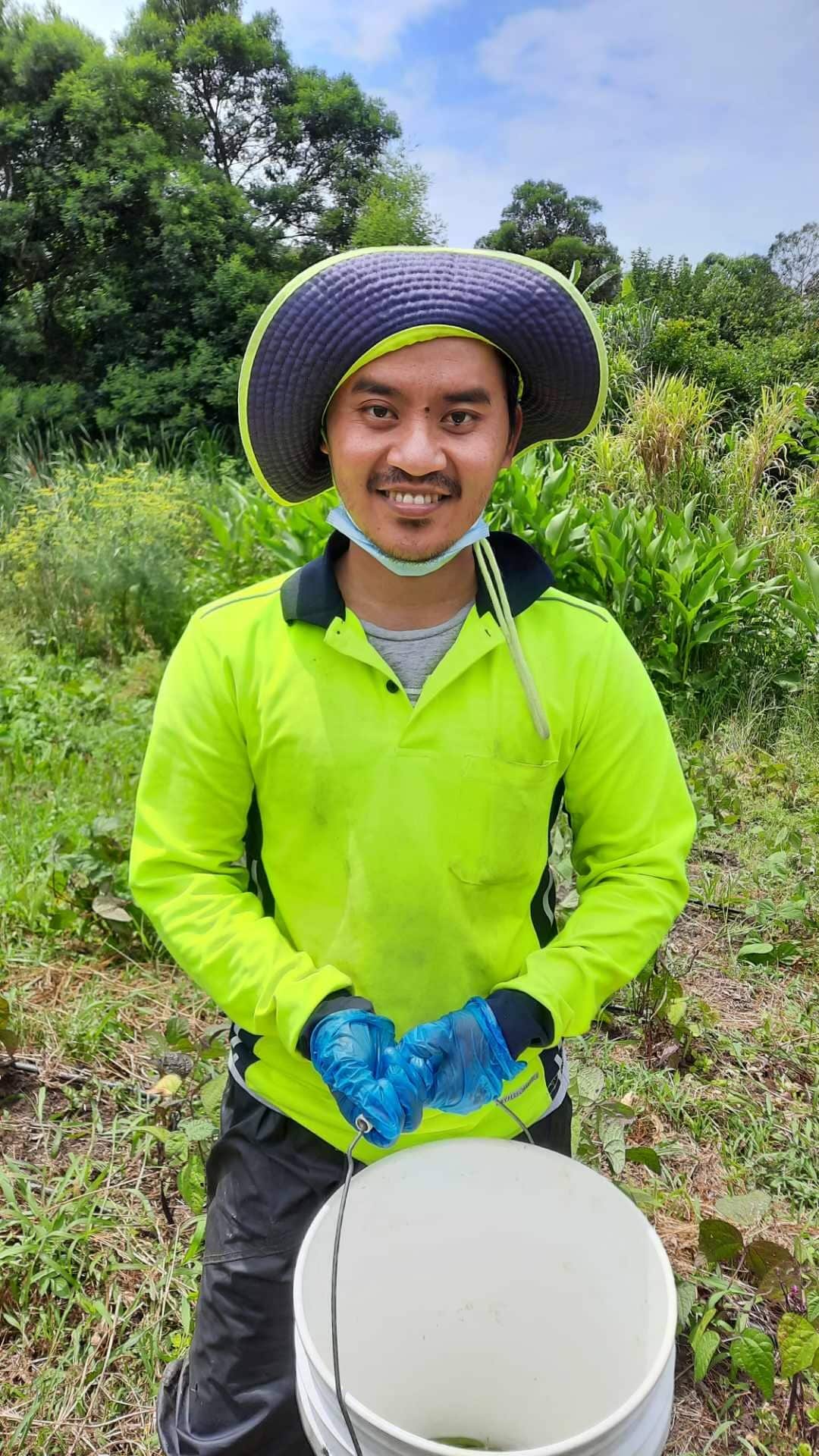 Eh Moo, working on the farm