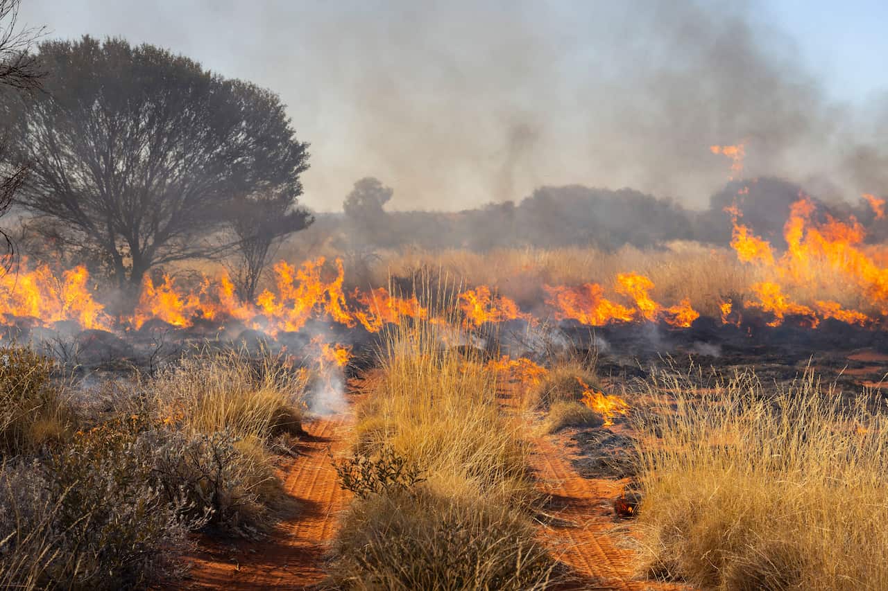 Controlled burn by Indigenous rangers - Image Salty Davenport.jpg