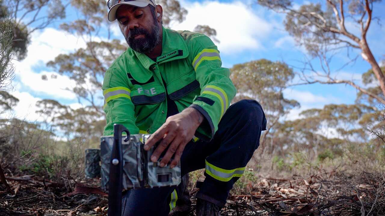 An Indigenous man checks an equipment reading in the bush.