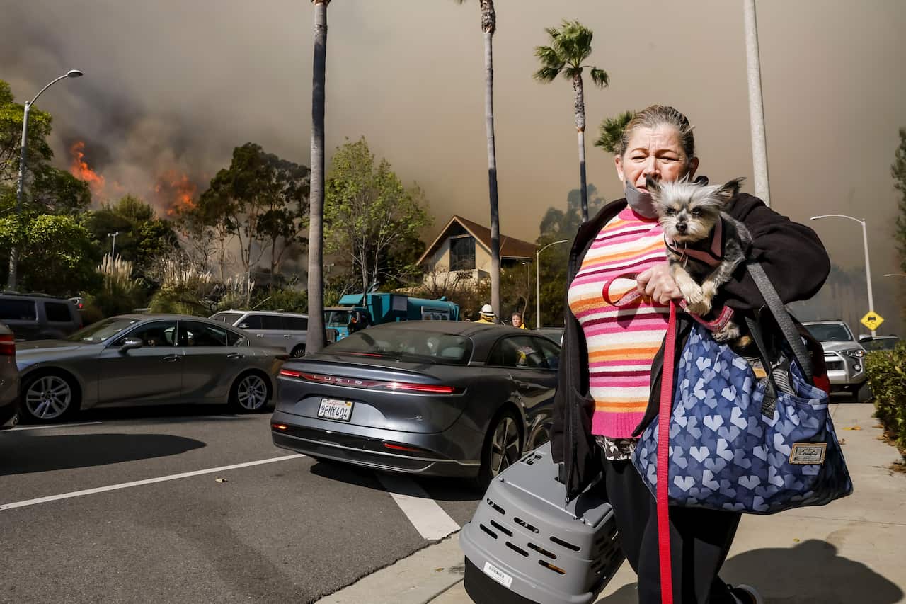 A woman with her dog in her hand walk down the street 