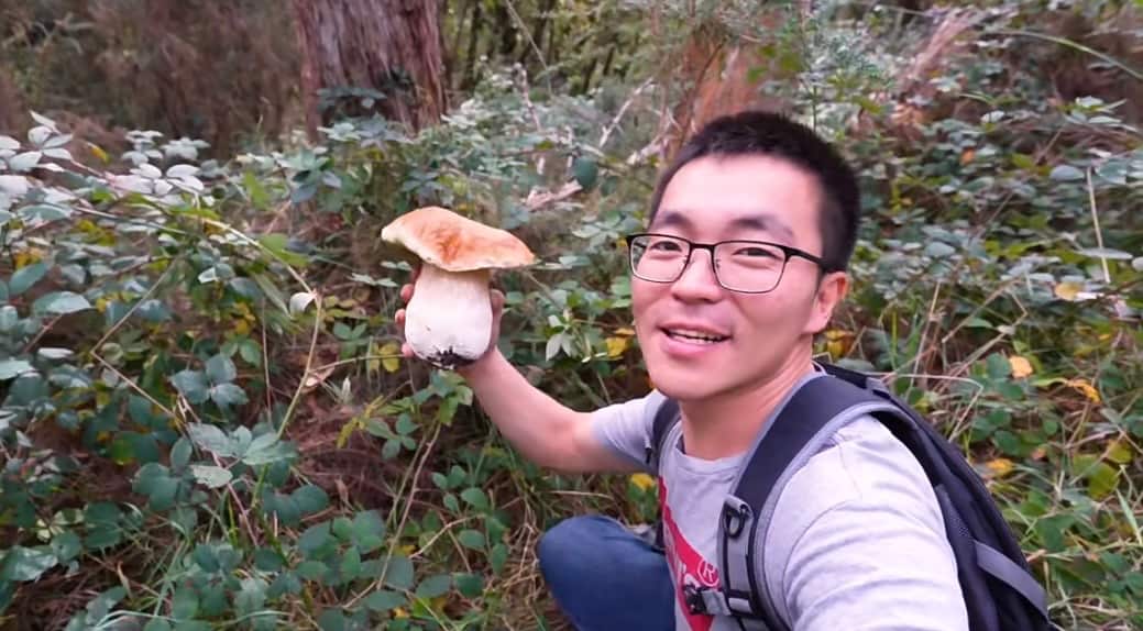 wild mushroom (10).png