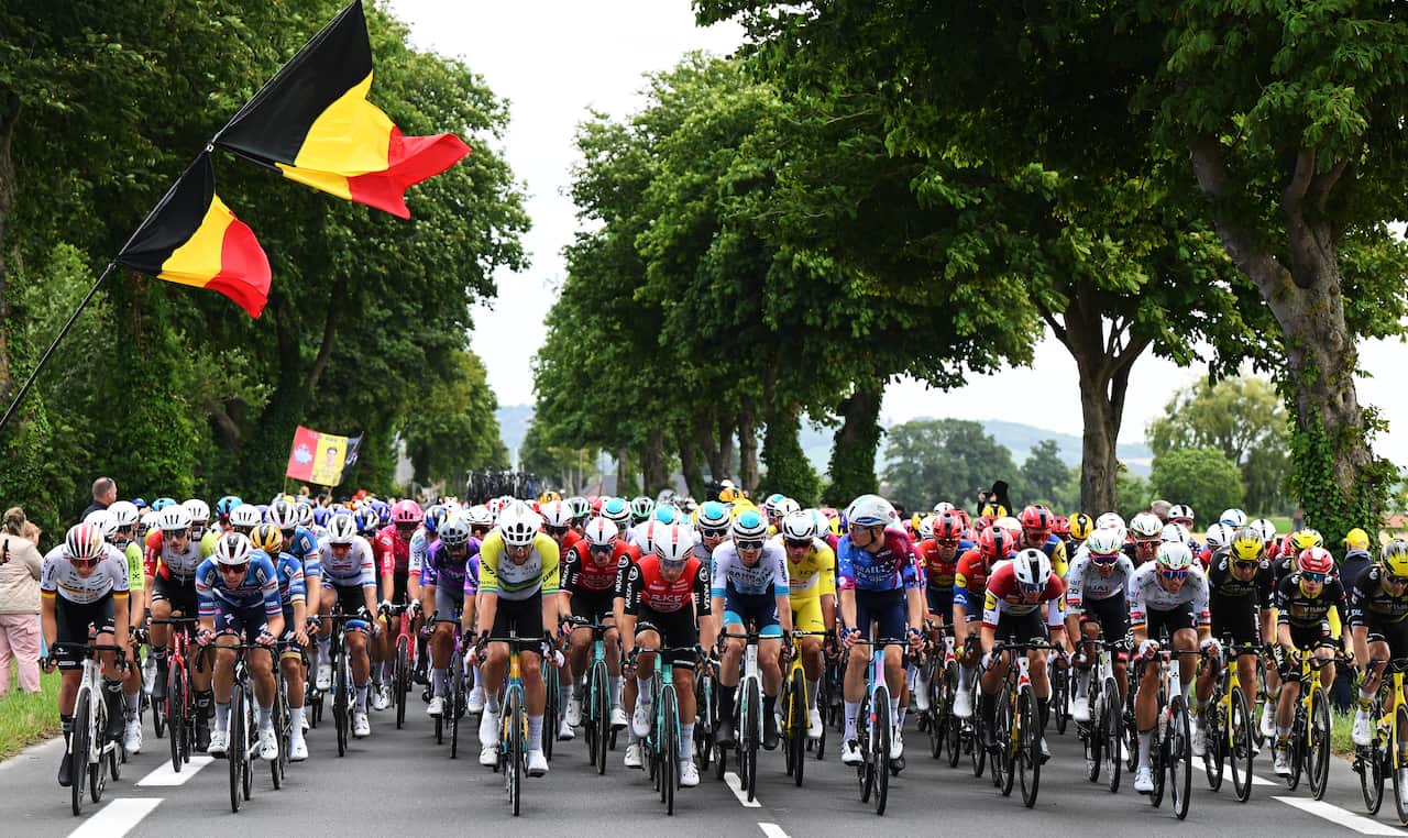 A large group of cyclists.