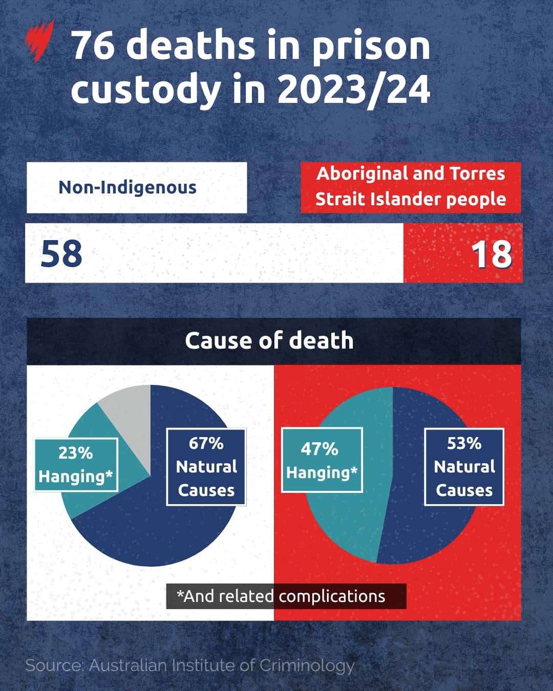 Infographic showing statistics for deaths in custody in 2023/24.