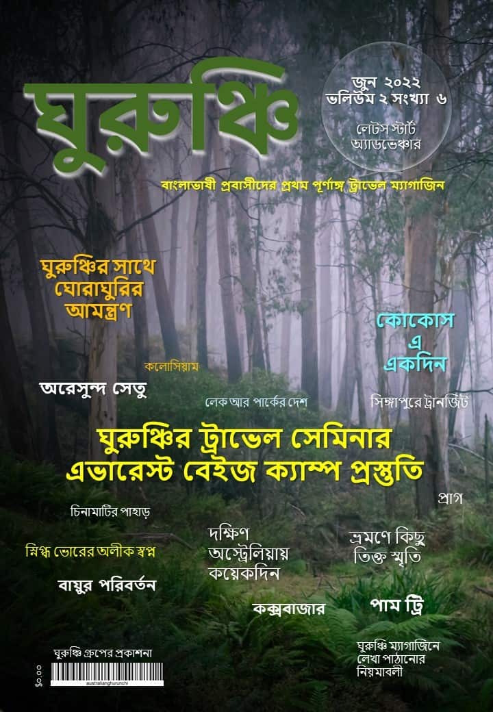 Magazine cover.jpg
