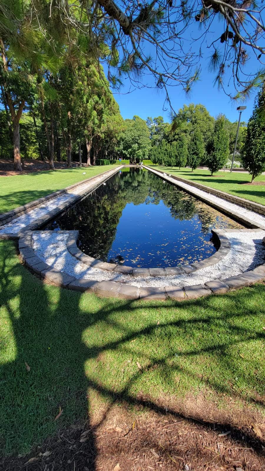 Reflection Pool at Auburn Botanic Gardens