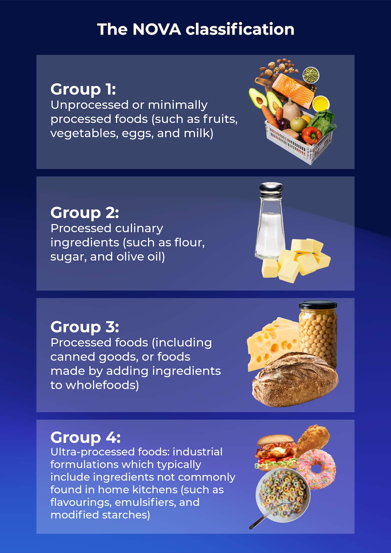 Artwork of the Nova classification showing different foods that fit in classifications
