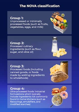 Artwork of the Nova classification showing different foods that fit in classifications