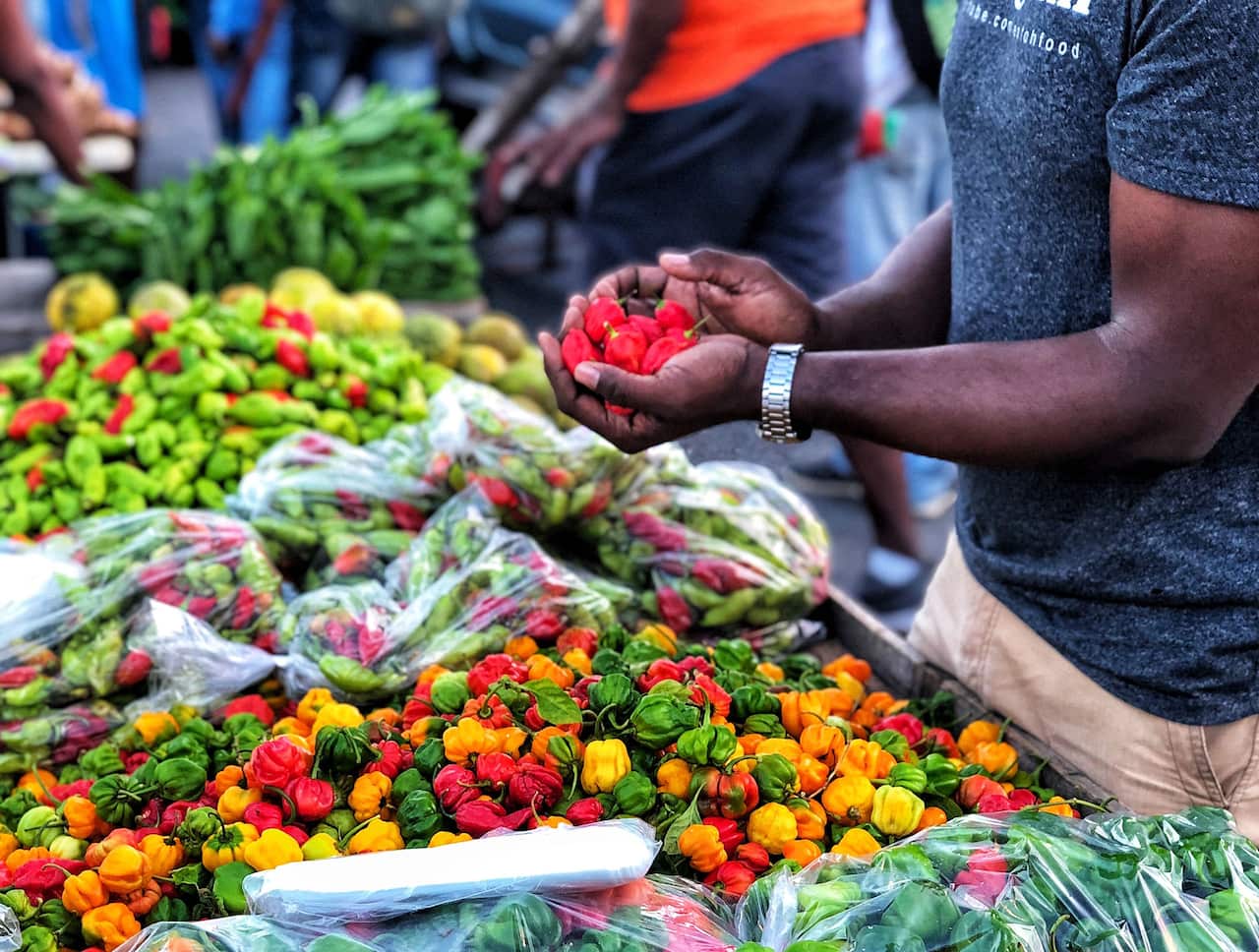 Trinidad IMG_9848 copy Credit Frédérique Ménard Aubin.jpg