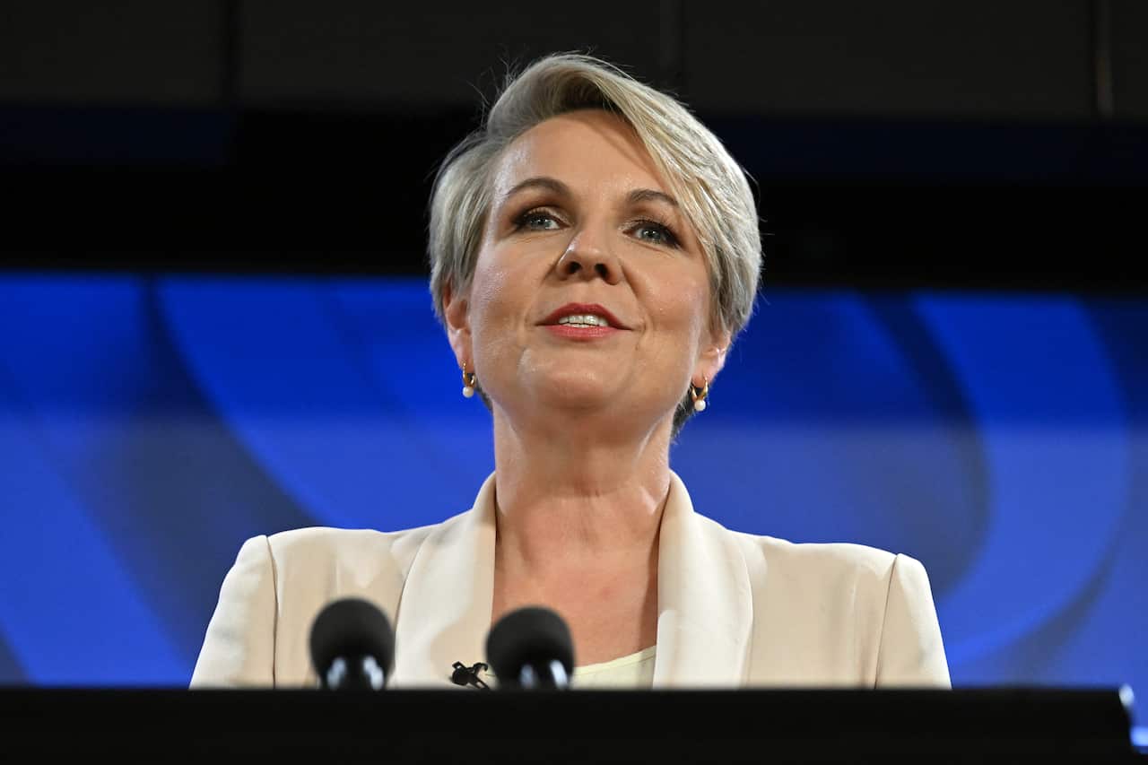 Tanya Plibersek at the National Press Club.