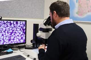 A man studies rocks under the microscope in a laboratory.
