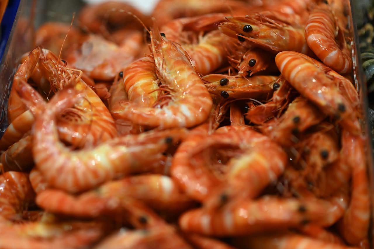 A pile of red cooked prawns lying on ice.