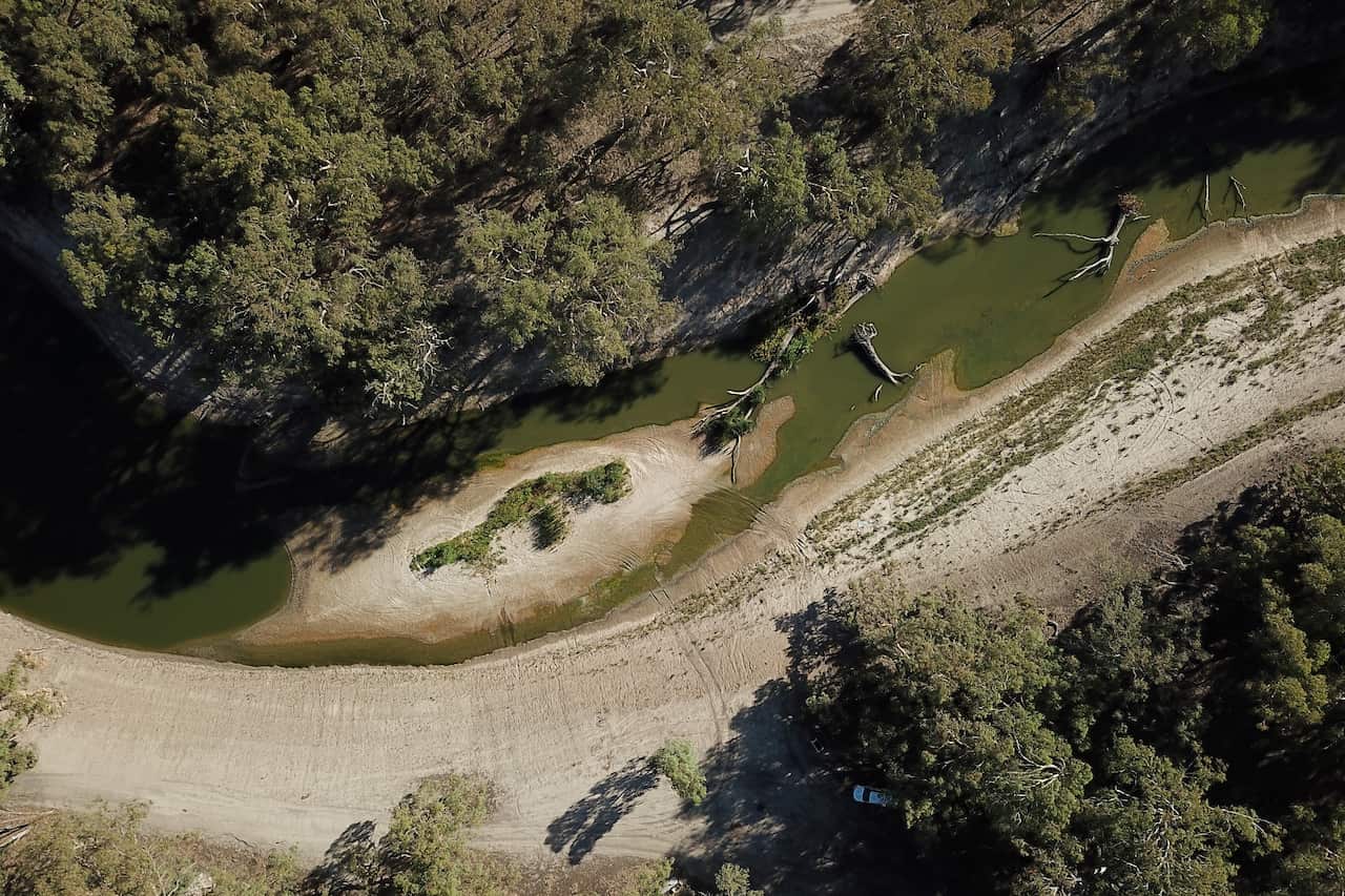 An ariel photograph of the Darling River, showing green trees and murky green water which has receded to show sand.