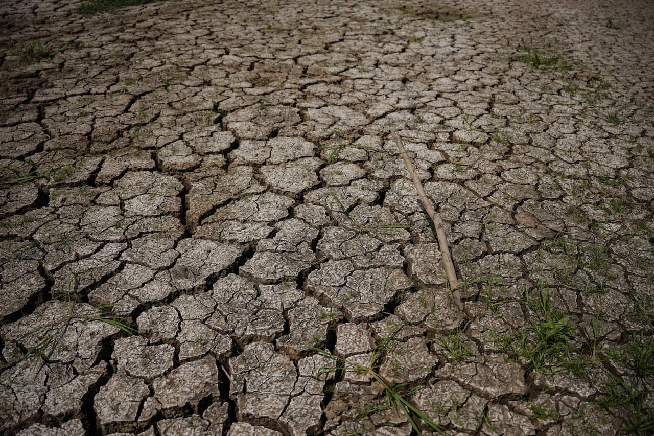 Cracked ground.