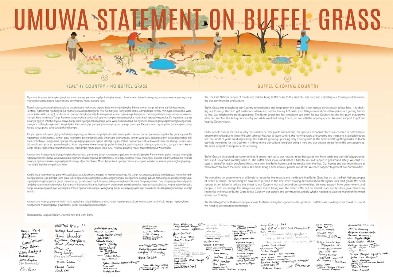A snapshot of the Umuwa Statement on buffel grass.
