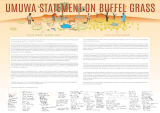 A snapshot of the Umuwa Statement on buffel grass.