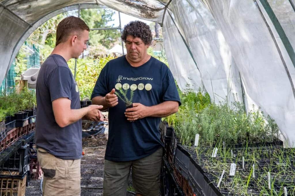 IndigiGrow_Peter Cooley (centre).jpg