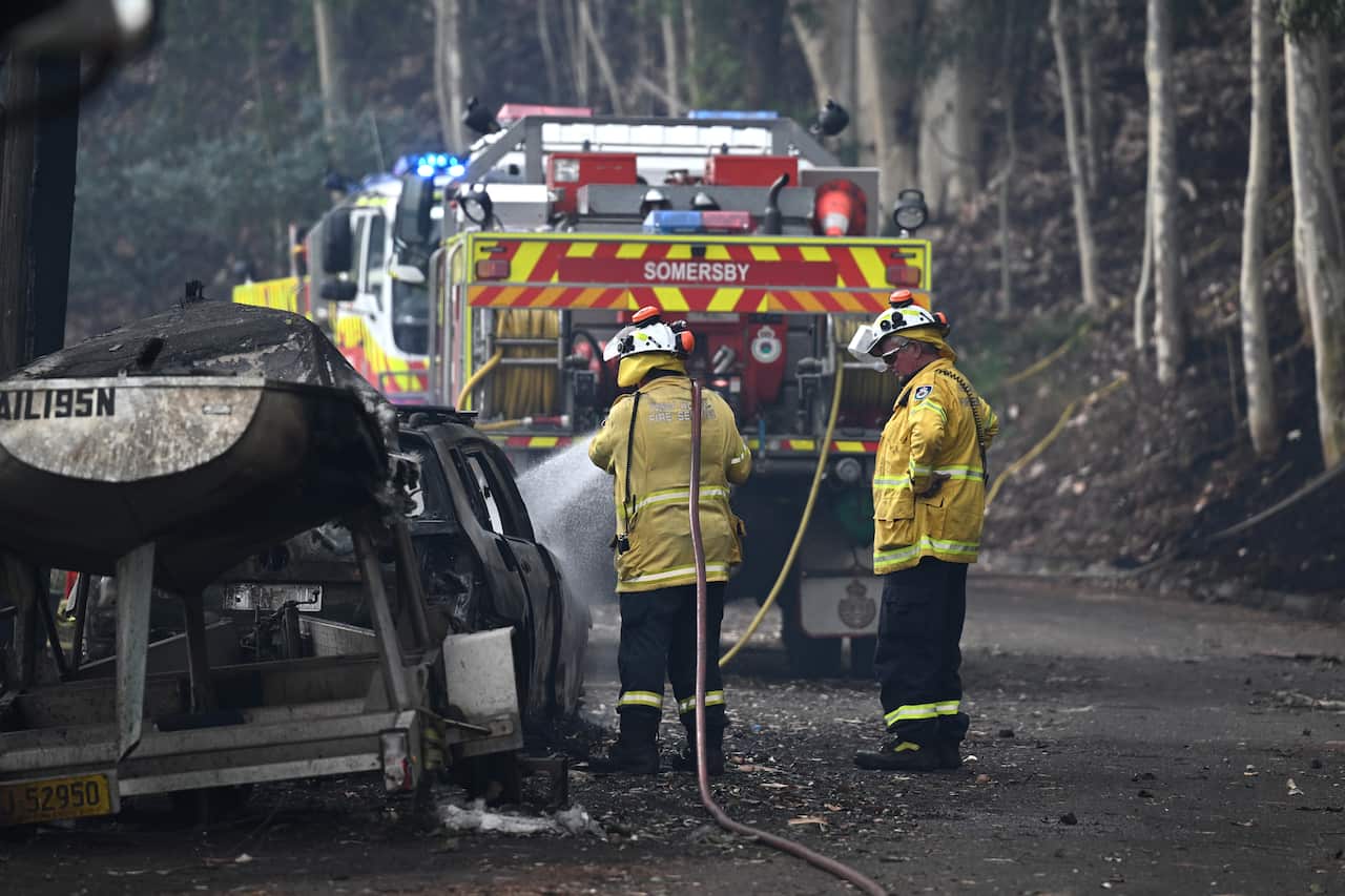 Firefighters with hoses standing near firefihting vehicles and trees.