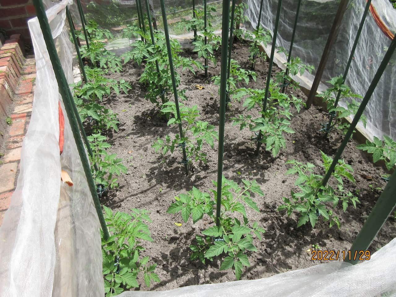 MicrosoftTeams-image (2).png