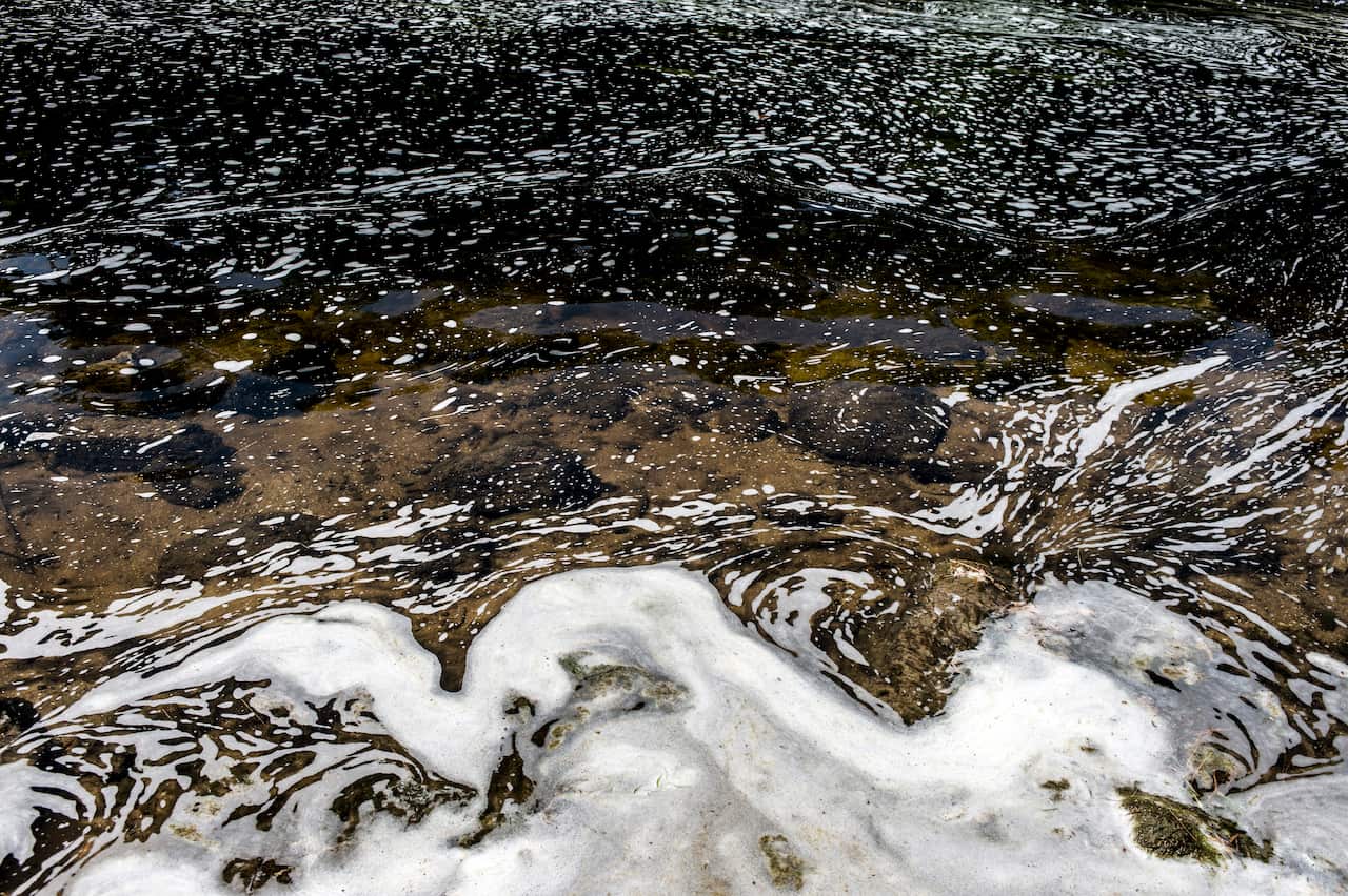 White foam floating on the surface of a body of water.