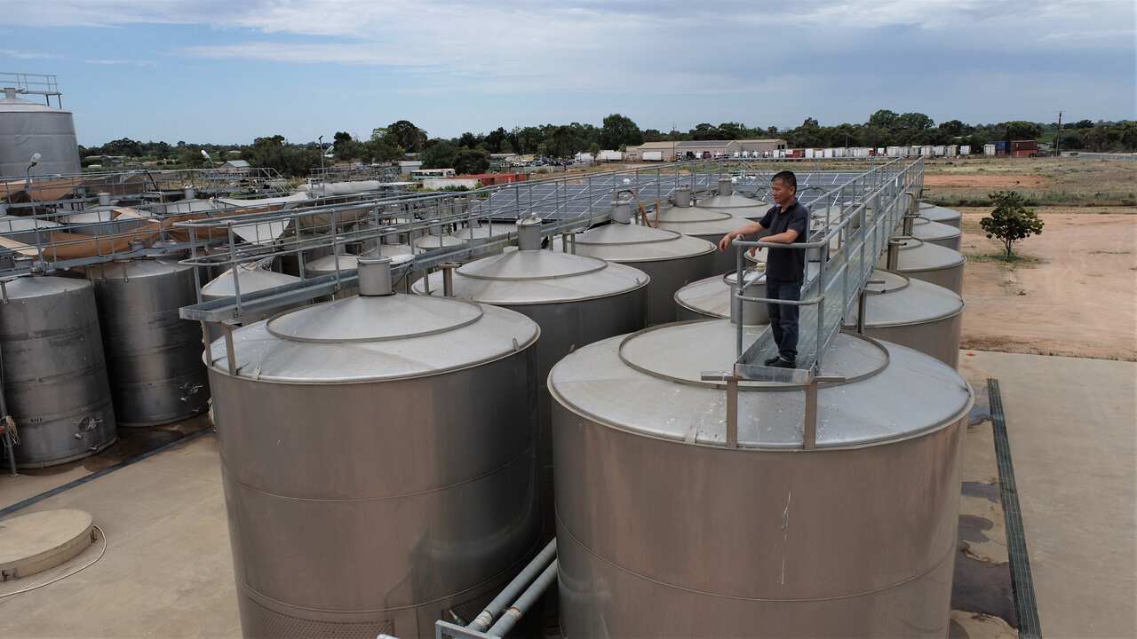 Lin Meiqing stands on wine vats looking out at his Renmark winery.