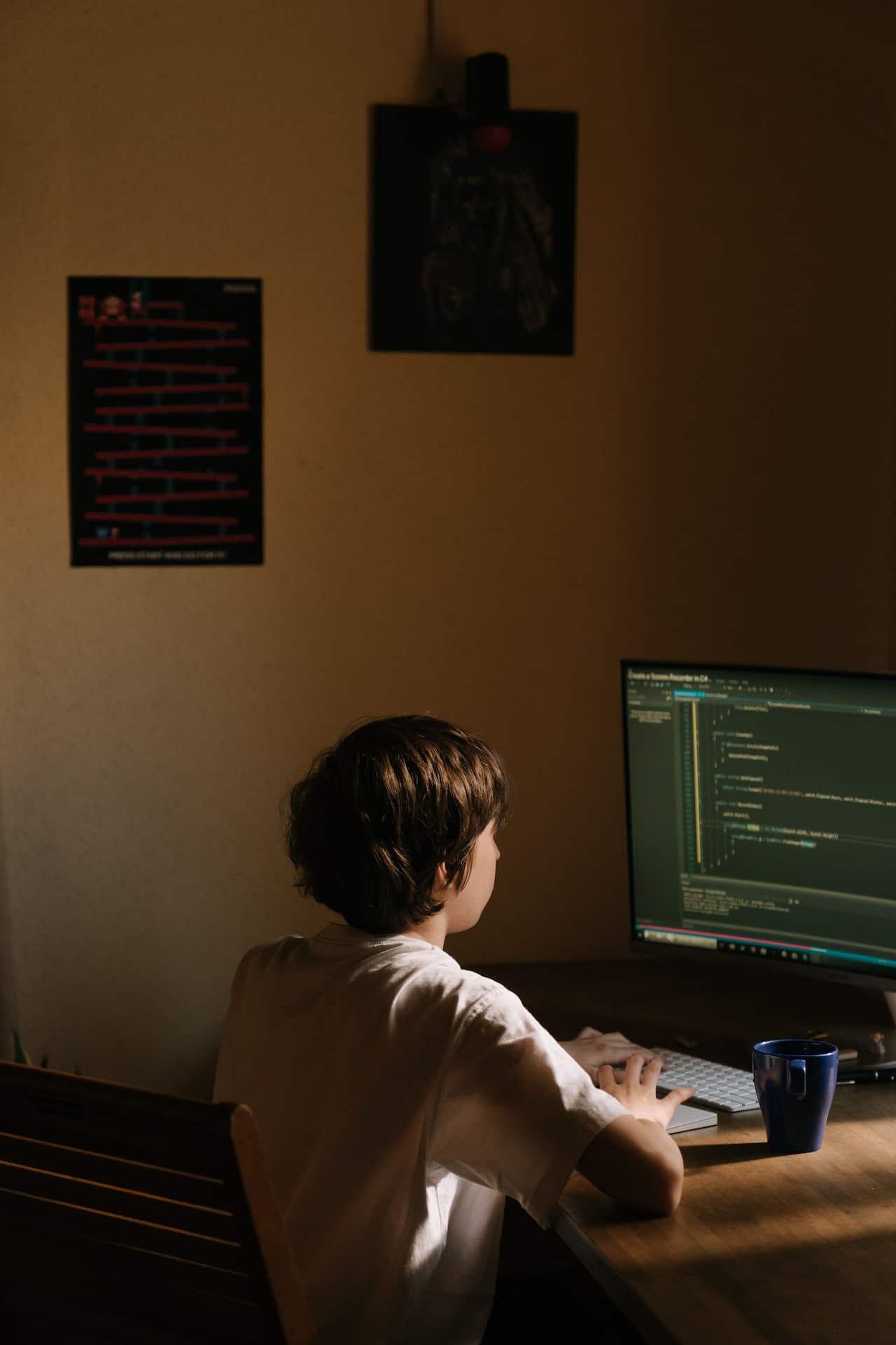 Photo-A boy coding on a computer-pexels-cottonbro studio.jpg
