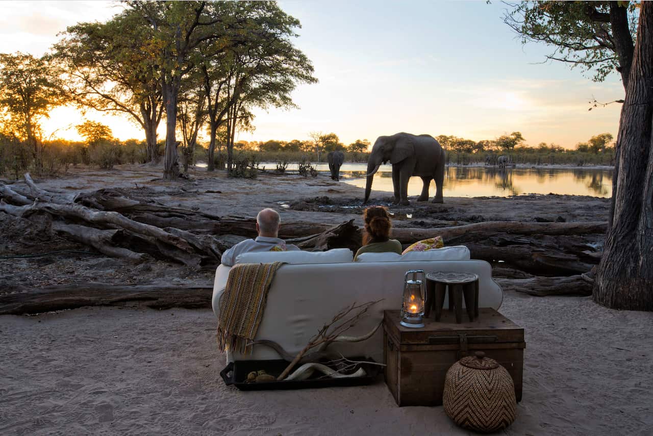 Safari Getty Images.png