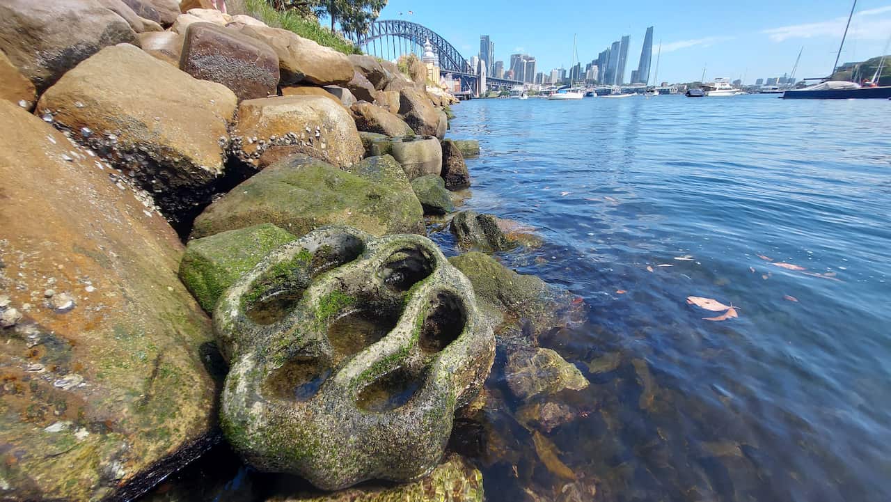 Living Seawalls
