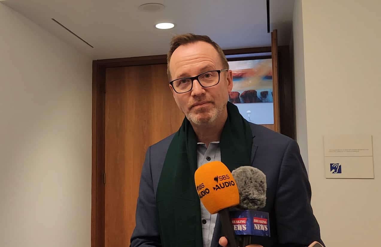 David Shoebridge.PNG