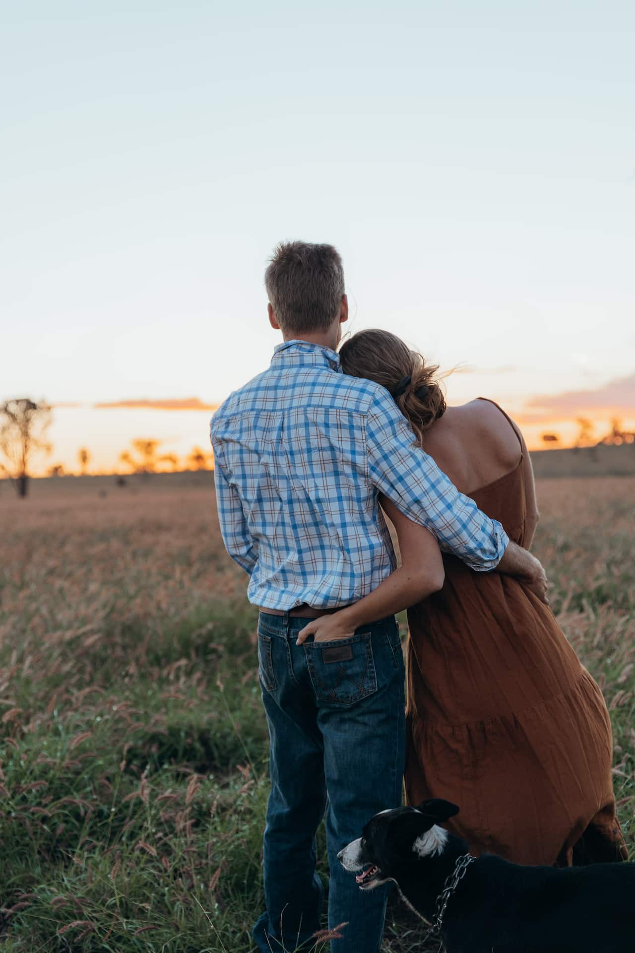 Rear view of a woman and a man embracing while standing in a paddock.