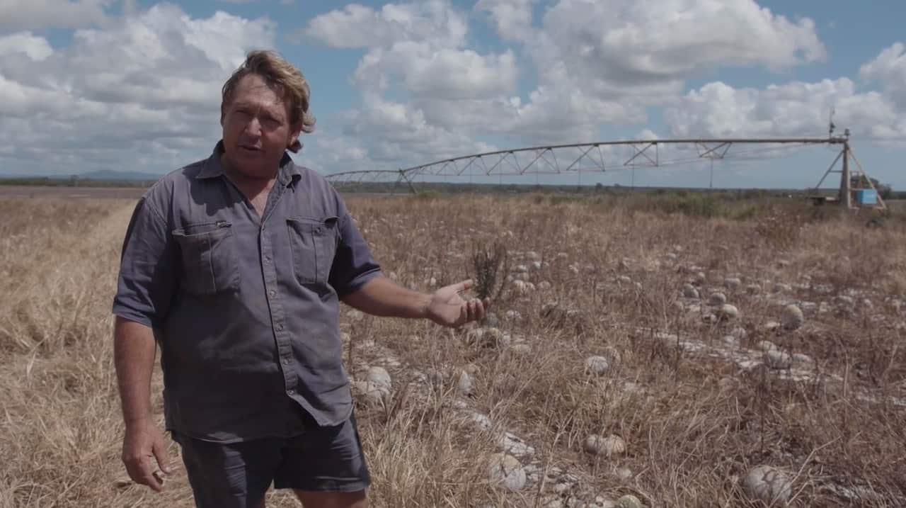 Trevor stands beside his pumpkin patch.