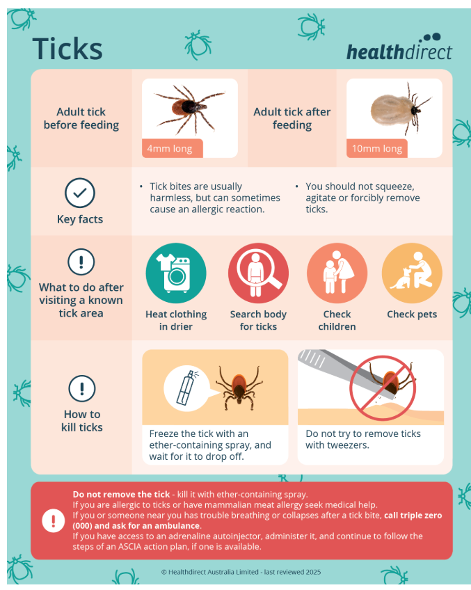 What causes tick bites?