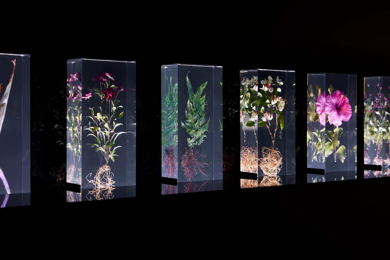 Installation view of Azuma Makoto’s work Block Flowers
