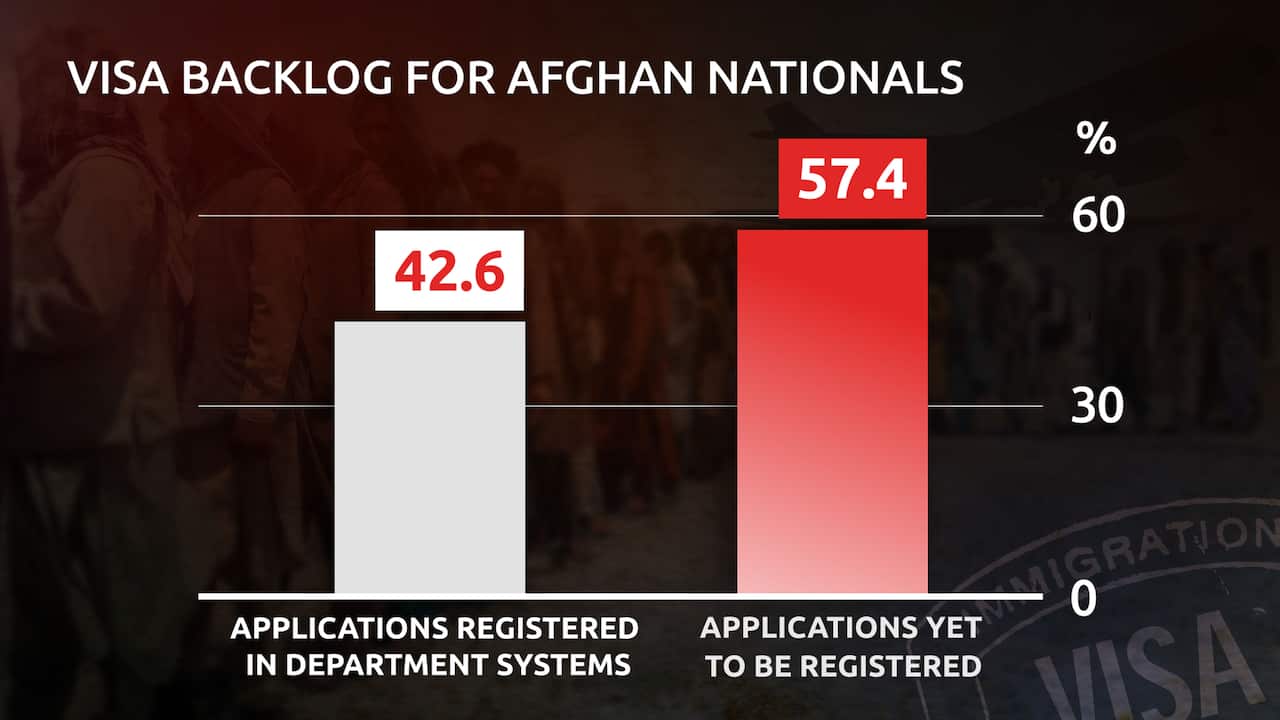 A graphic shows the proportion of applications from Afghan nationals registered with department systems.