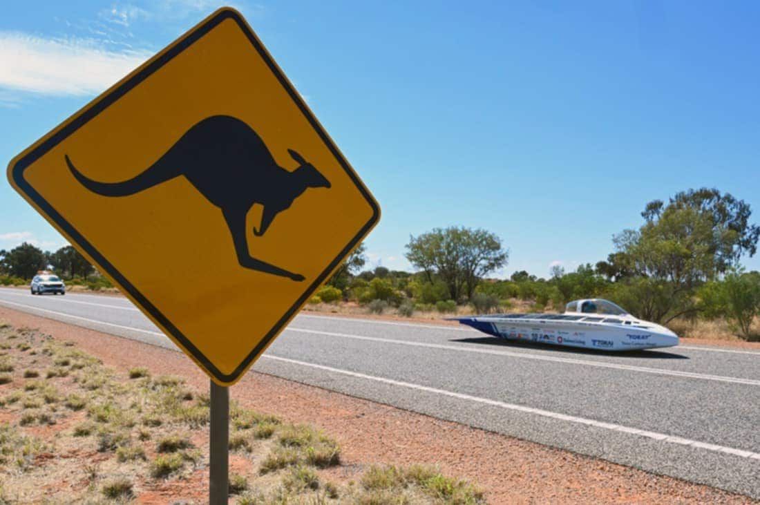 WhatsApp Image 2025-08-29 at 2.49.25 PM.jpeg