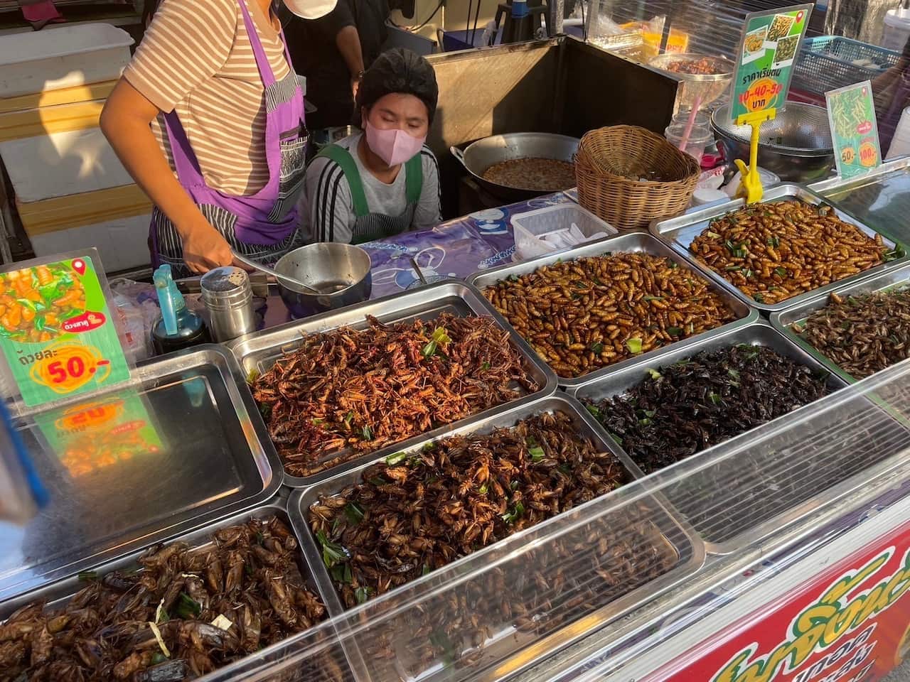 Mayu Tomaru 98-5.jpg