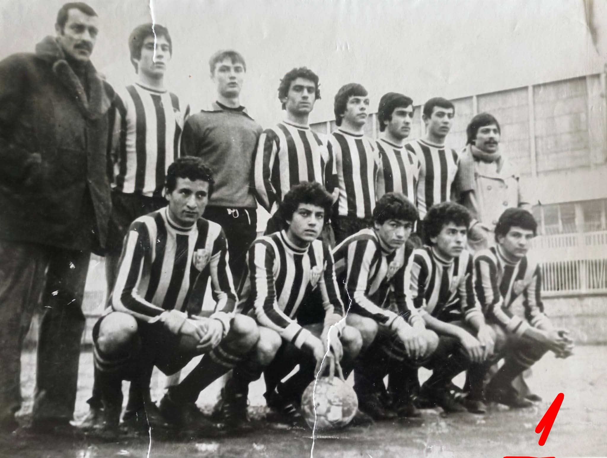 15.jfif