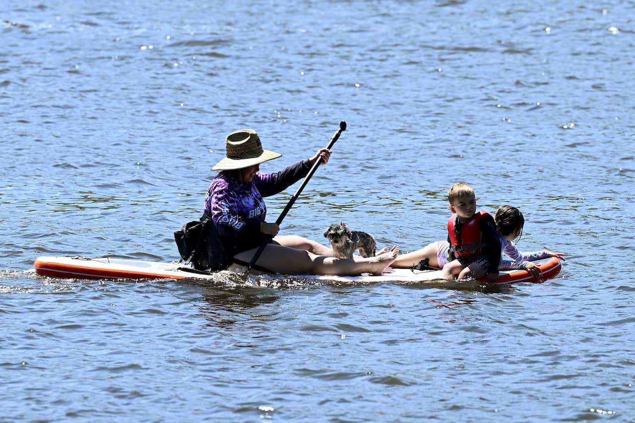 A woman, two children and a dog on a paddleboard in the water.