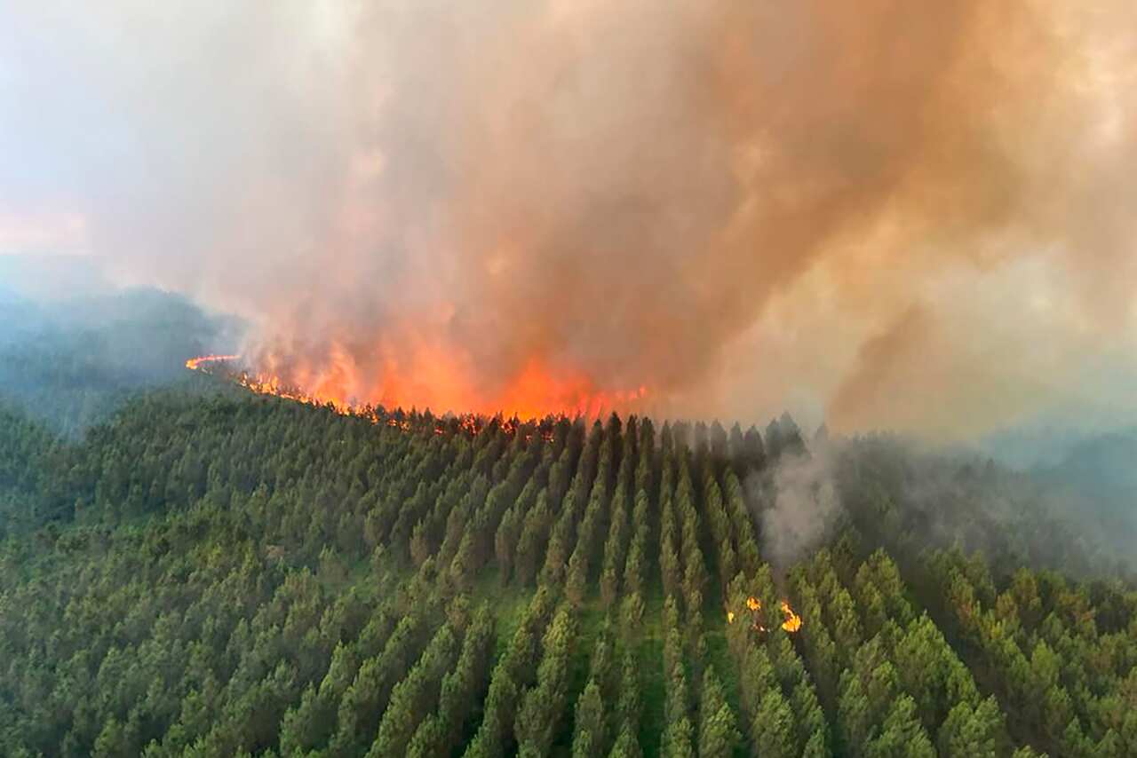 A wildfire near Landiras, southwestern France, burns the land and trees on 14 July 2022. 