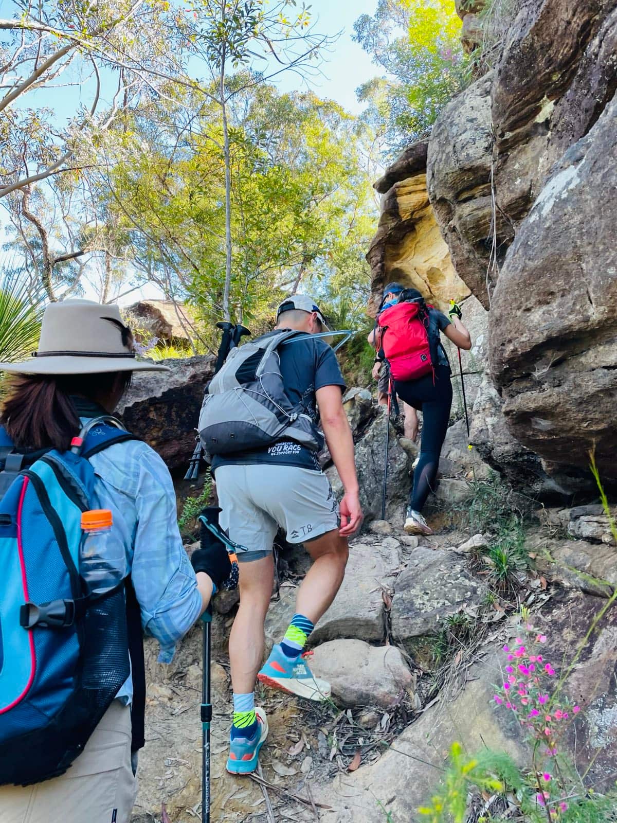 雪梨港人毅行者6