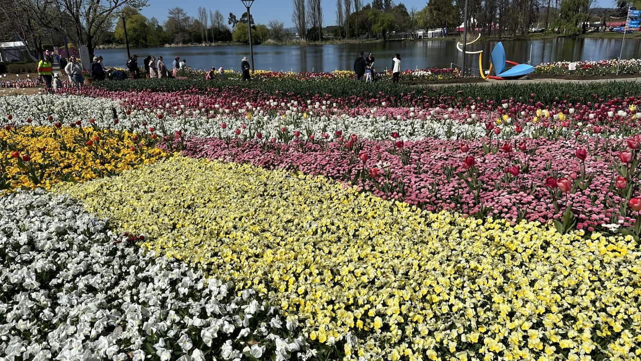 floriade 3.jpg