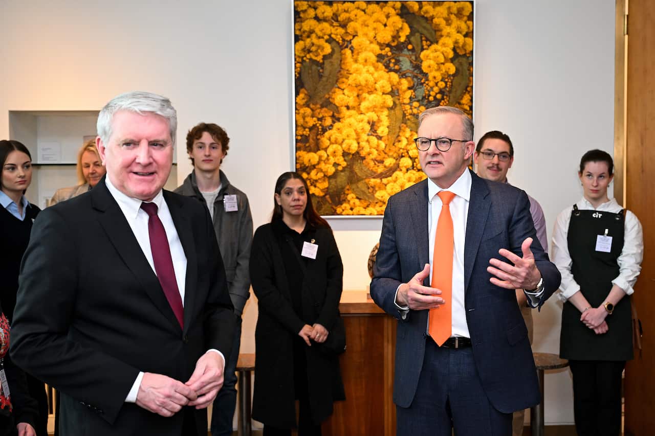 Australian Prime Minister Anthony Albanese and Australian Skills Minister Brendan O’Connor, both wearing standard politician formal attire, stand in front of a row of TAFE students. 