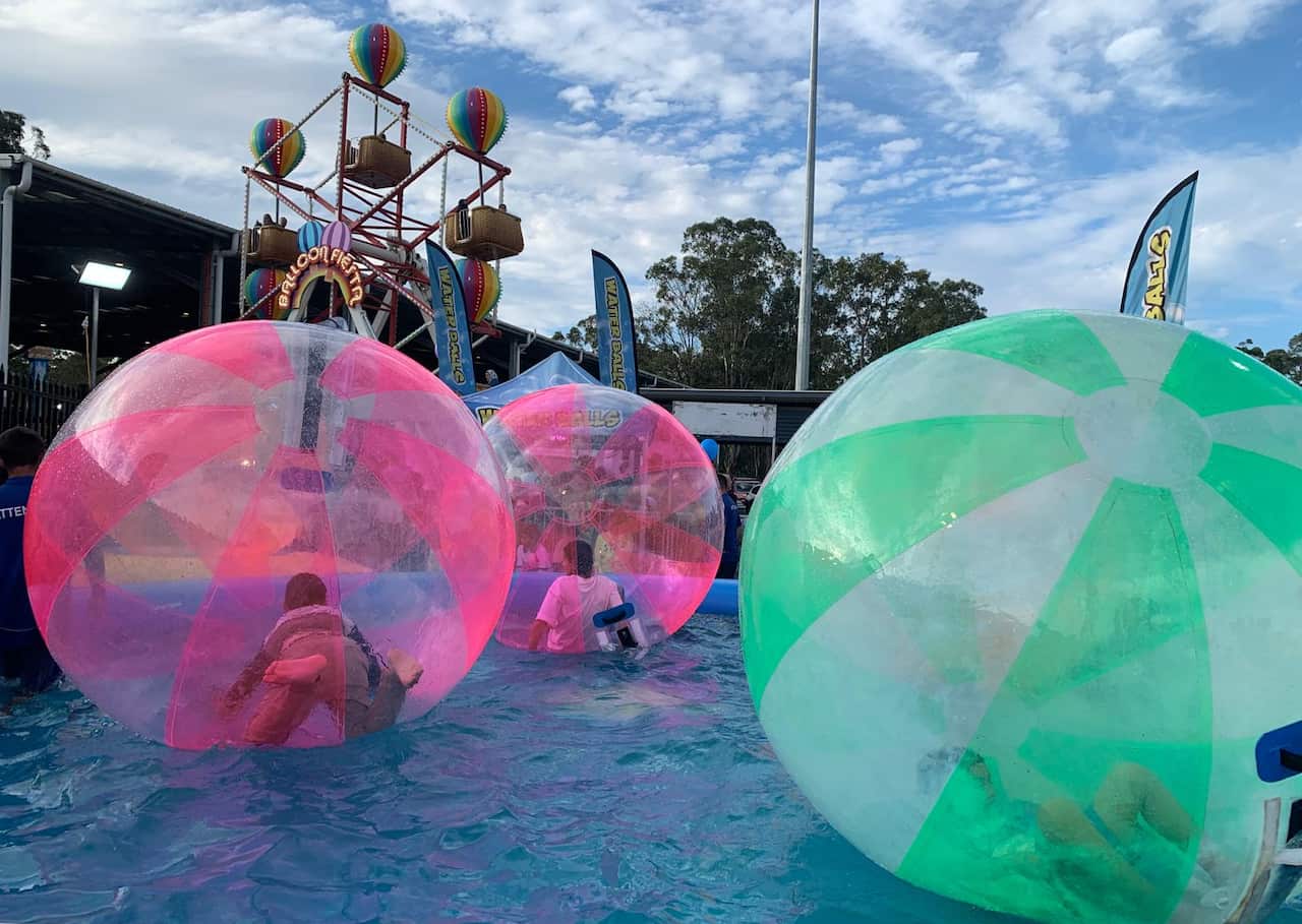 WhatsApp Image 2024-04-30 at 2.39.42 PM.jpeg