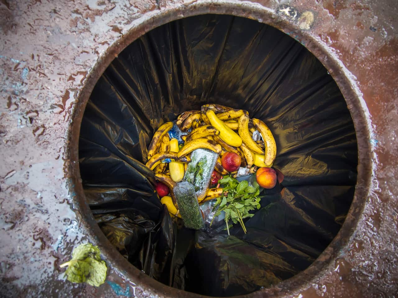 NY: Discarded food pantry food in New York