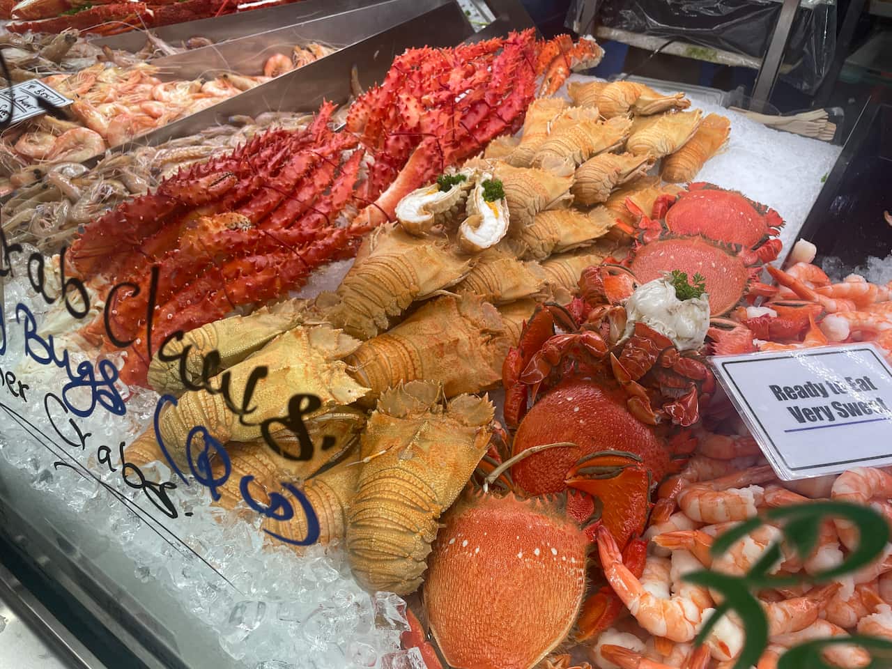 Prawns Lobesters2.jpeg