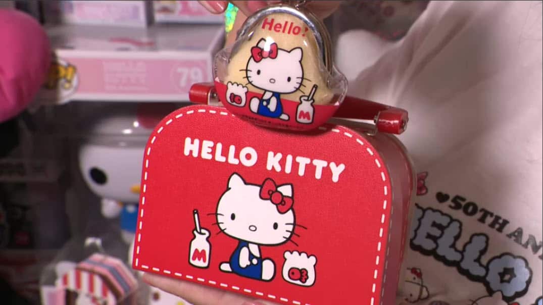 Kitty purse.jpg