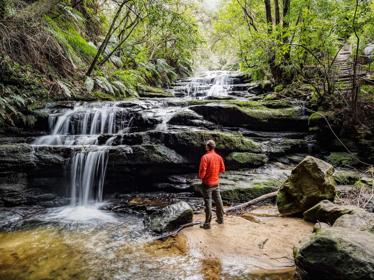 Australia, New South Wales, Blue Mountains National Park, Leura Cascades, Young man standing by waterfall in forest