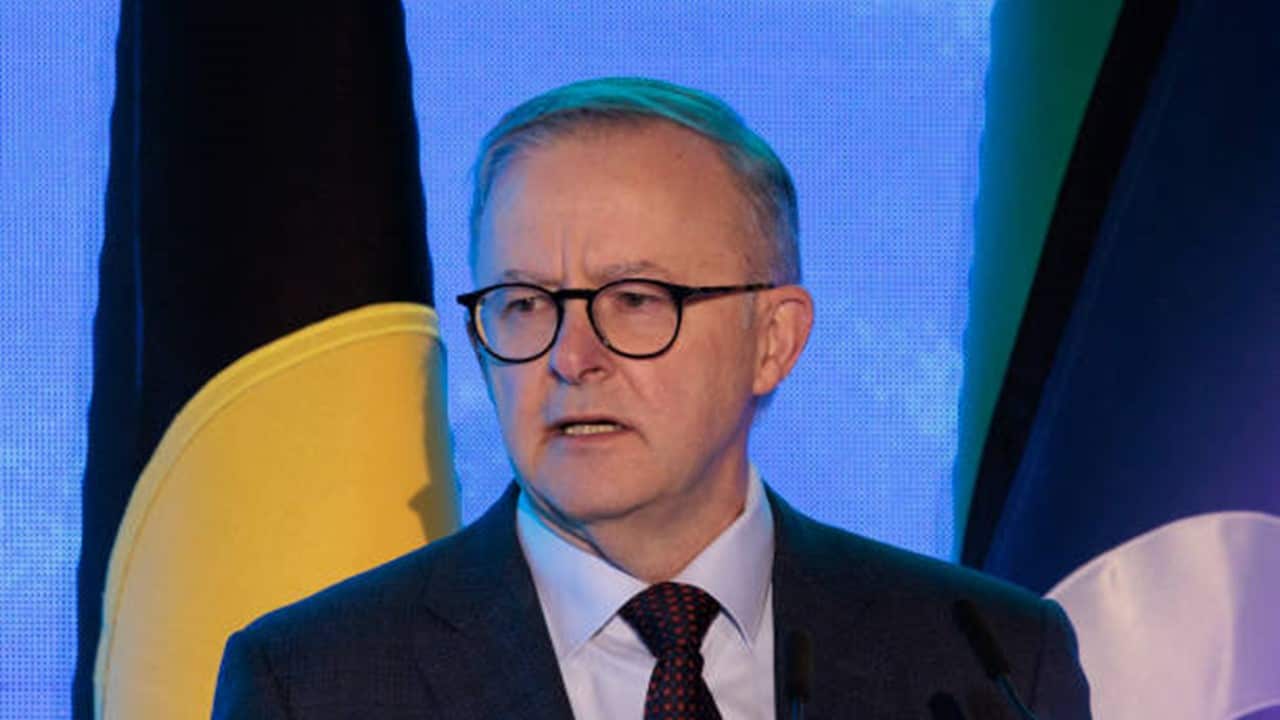 PM Anthony Albanese.jpg