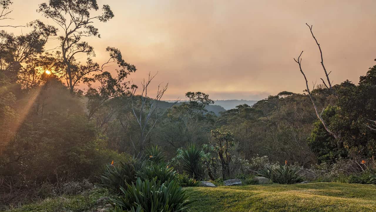 Sydney hazard reduction burning fire